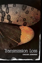 Transmission Loss